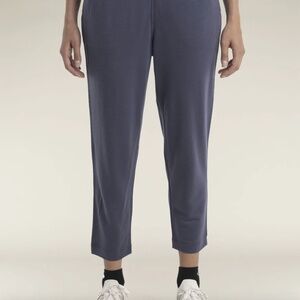 Icebreaker Merino Blend Pants